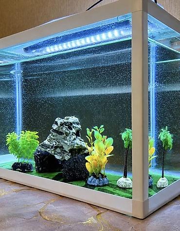 akvariyum: Akvaryum seti – LED işıqlı, qapaqlı, dekorasiyalı - Şüşə akvaryum, ağ — 2
