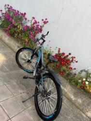 tarix test toplusu 1 ci hisse pdf yuklə: Cəmi 240 AZN 29 və 24-lük