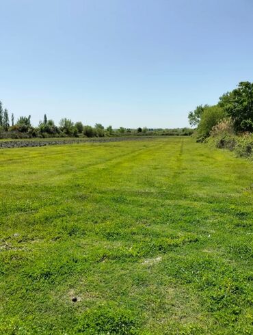 снять квартиру в баку без посредников: 200 sot, Biznes üçün, Barter mümkündür, Kupça (Çıxarış)