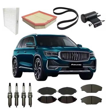 Другие аксессуары: Профессиональная дилерская диагностика и техническое обслуживание всех — 14