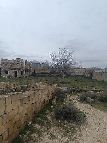 sumqayıtda: 6 sot, Tikinti, Mülkiyyətçi, Kupça (Çıxarış) — 4