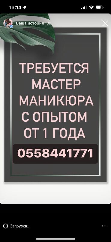 нокиа 3220: Выравнивание, Дизайн, Донаращивание ногтей, Маникюр, Педикюр, Одноразовые расходные материалы