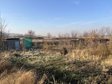 Продажа участков: 5 соток, Для сельского хозяйства, Красная книга, Тех паспорт, Договор купли-продажи — 8