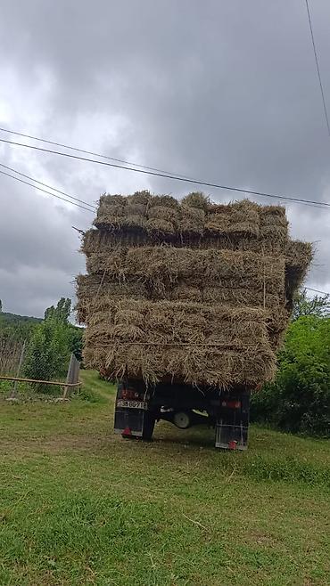 Yük maşınları: GAZ yükdaşıma maşını – tipper (samogssval) - Korpus: mavi kabina — 10