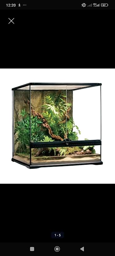 Зоотовары: Террариум, аквариум, палюдариум, флорариум, стеллажи для змей — 6