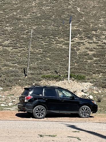авто зикир: Subaru Forester: 2017 г., 2 л, Автомат, Бензин, Кроссовер — 4