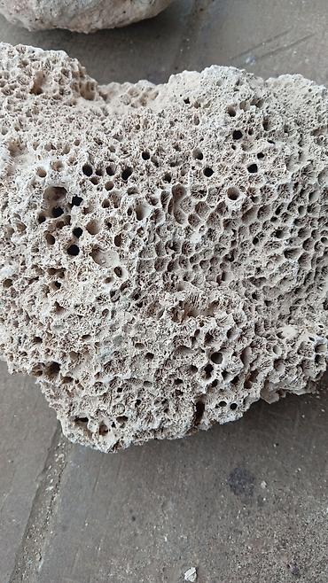 akvarium daslari: Məhsul: Təbii məsaməli rif/korall qaya daşları (dekorativ) Təsvir: - — 1