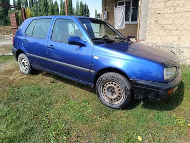 срочно только нал: Volkswagen Golf: 1993 г., 1.6 л, Механика, Бензин, Хэтчбэк
