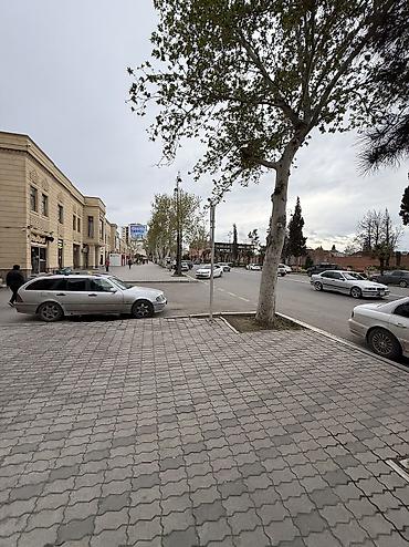 Günlük kirayə mənzillər: 3 otaqlı -da lalafo.az — 34 Günlük kirayə mənzillər: 3 otaqlı — 34