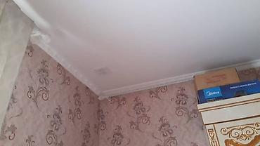 Другие виды отделочных работ: Больше 6 лет опыта — 16