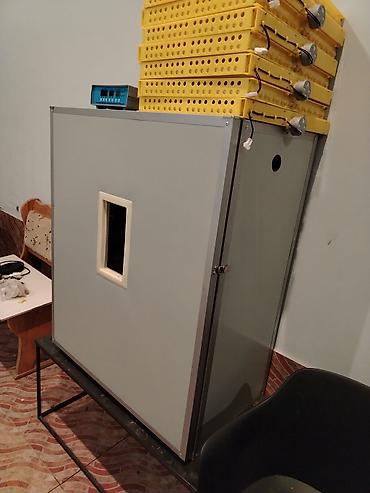 Сельскохозяйственное оборудование: Yumurta inkubatoru və çıxım şkafı sistemi təqdim olunur. Quşçuluq — 2