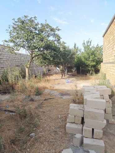 xacmazda tecili satilan evler: Tikinti, Mülkiyyətçi, Kupça (Çıxarış)