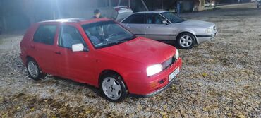 обмен авто на земельный участок: Volkswagen Golf: 1991 г., 1.8 л, Механика, Бензин, Хетчбек