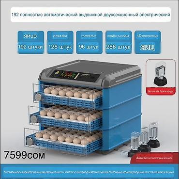 Оборудование для производства: Инкубаторы с двойным электроприводом и полностью автоматическим — 6