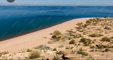 элитные дом: 156 соток, Курулуш