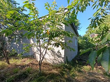 Həyət evləri və villaların satışı: 5 otaqlı, 150 kv. m, Orta təmir — 6