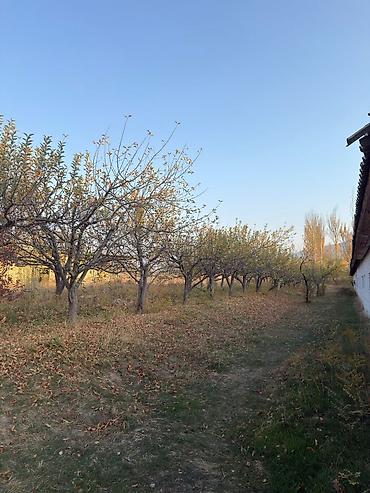 Продажа участков: 170 соток, Для строительства, Договор долевого участия — 18