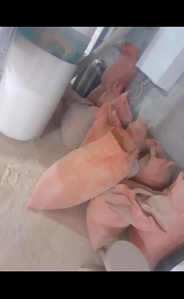 Опилки от лдсп 2000 по городу 3000 за город доставка включена в эту at lalafo.kg Опилки от лдсп 2000 по городу 3000 за город доставка включена в эту