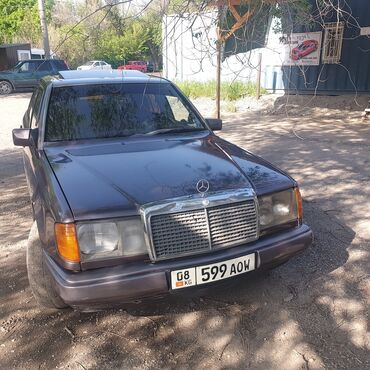 Mercedes-Benz 230: 1992 г., 2.3 л, Автомат, Газ, Седан