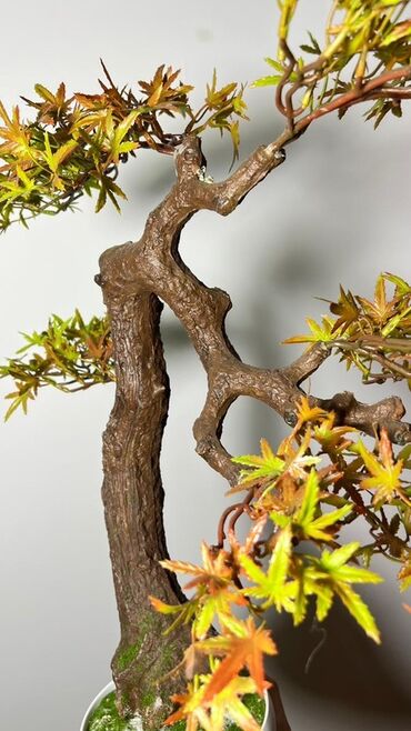 Süni güllər: Süni bonsai ağacı – dekorativ içməkan yaşıllaşdırma üçün - Realistik — 5