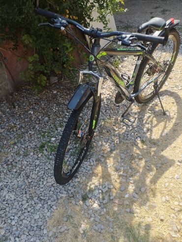 velsavet: Dağ velosipedi Stels, 29"