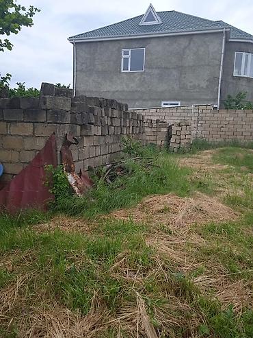 yeni əmlak az: 4 sot, Tikinti, Kupça (Çıxarış) — 2