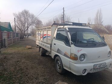 Жеңил жүк ташуучу транспорт: Жеңил жүк ташуучу унаа, Hyundai, Стандарт