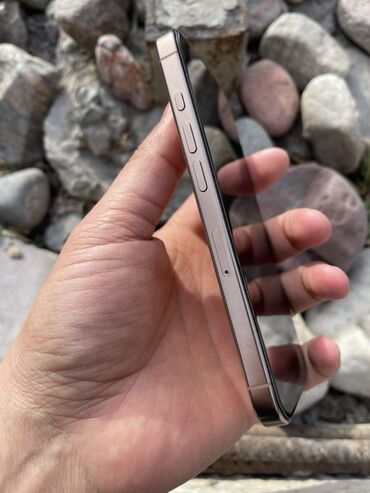 Apple iPhone: IPhone 16 Pro, Б/у, 128 ГБ, Natural Titanium, Защитное стекло, Чехол, 95 % — 6