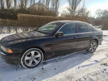 BMW: BMW 323: 1997 г., 2.5 л, Автомат, Бензин, Седан