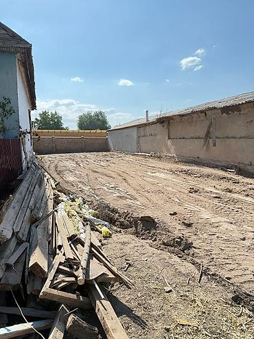ысык куле: 5 соток, Бизнес үчүн, Кызыл китеп — 3