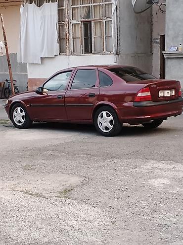 Opel: Opel Vectra: 1.6 l | 1997 il 490000 km Sedan — 3