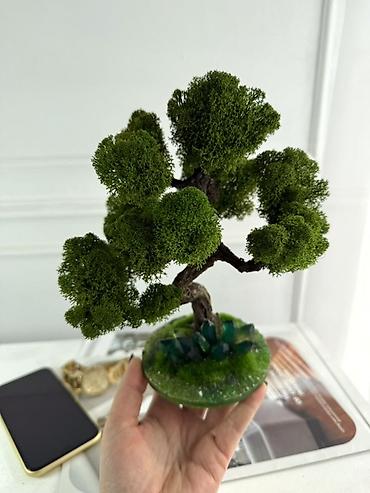 Другой декор и предметы интерьера: Декоративное настольное деревце Бонсай из стабилизированного мха- — 5