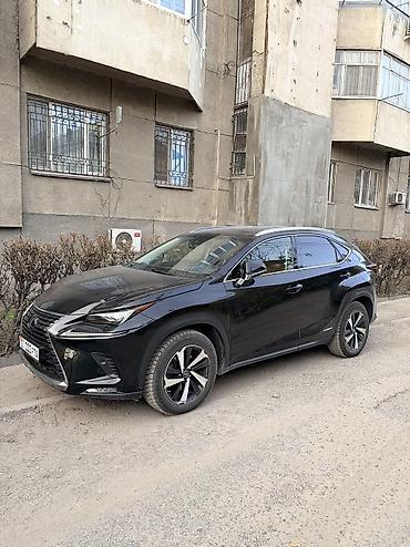 m5 e60: Lexus NX: 2019 г., 2.5 л, Вариатор, Гибрид, Кроссовер — 3