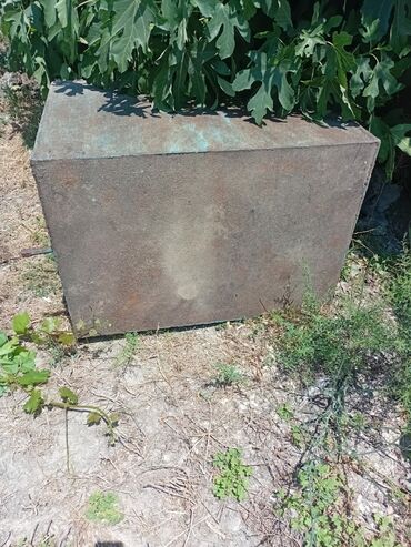 Bitkilər: Bak, Metal, 750 l l