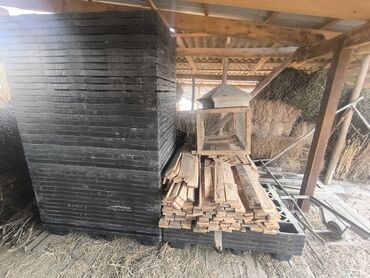 лоток арык: Поддон Тамак-аш өнөр жайы үчүн, Бар