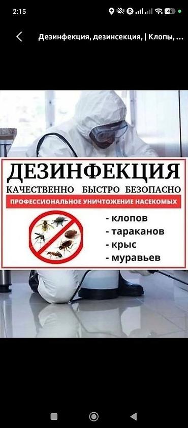 дезинфекция: Дезинфекция, дезинсекция, | Клопы, | Офисы — 3