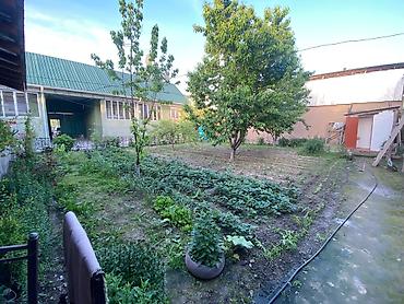 магазины по пиво с собой: 5 комнат, 200 м², 8 соток, Узген, Собственник — 8