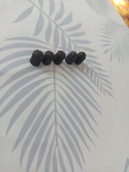 кошелек женский бишкек цена: Колпачки на колеса б/у