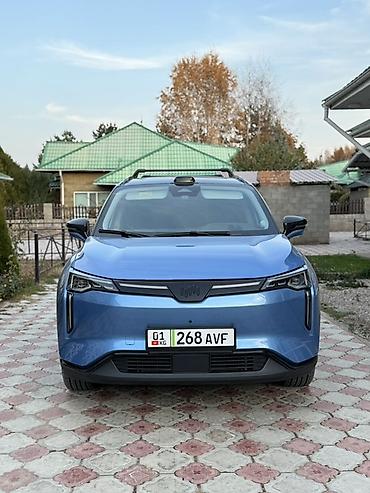 Weltmeister: Weltmeister W6, 2022 г., 54000 км — 8