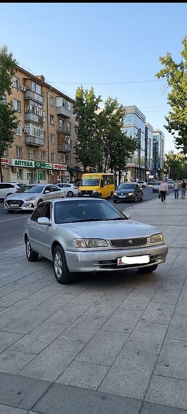 toyota cube: Toyota Corolla: 1998 г., 1.5 л, Автомат, Бензин, Седан — 2