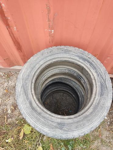 175 65 15: Шины 195 / 65 / R 15, Зима, Б/у, Комплект, Легковые, Dunlop — 4