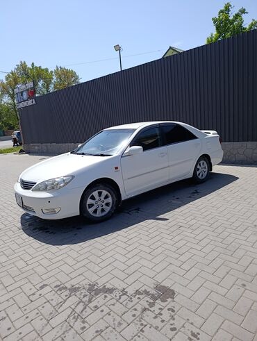 продажа авто тойота камри: Toyota Camry: 2005 г., 2.4 л, Автомат, Бензин, Седан