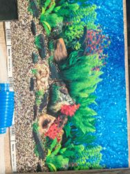 Akvariumlar: Dördbucaq akvarium, Balıqlarla birlikdə, 30 l, Pulsuz çatdırılma — 6