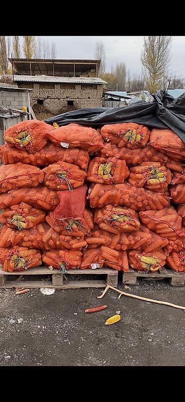 сухой корм: Продаю арпа жем ячмень дроблённый в мешках горох в мешках отруби кебек — 8