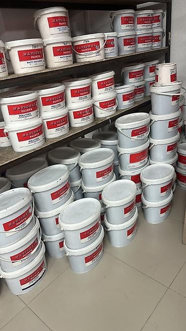 краска машины: Краски и покрытия NATIONAL PAINTS Профессиональная линейка — 3