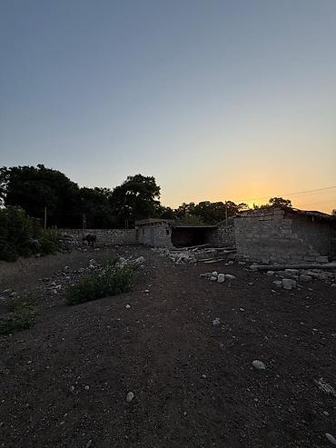 Torpaq sahələrinin satışı: Kənd təsərrüfatı, Mülkiyyətçi -da lalafo.az — 7 Torpaq sahələrinin satışı: Kənd təsərrüfatı, Mülkiyyətçi — 7