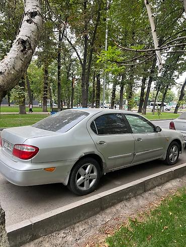 sat math: Сдаю Nissan Maxima автомат левый руль в отличном состоянии в аренду с — 4