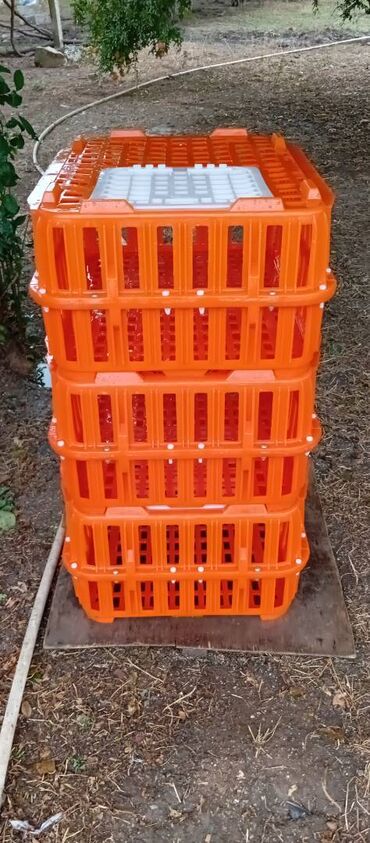 Akvarium aksessuar və ləvazimatları: Təcili satılır.6 ədədi 240manat — 6