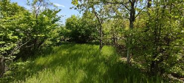 Torpaq sahələrinin satışı: 10 sot, Kənd təsərrüfatı, Mülkiyyətçi — 4