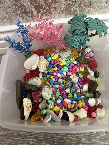 Akvariumlar: Dördbucaq akvarium, Boş, 6 l, Ünvandan götürmə — 10